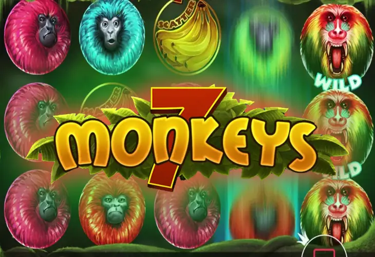 7 Monkeys